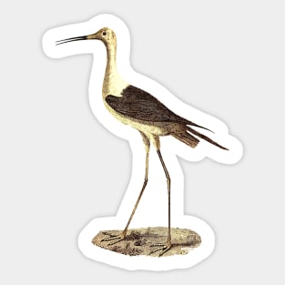 Stork Sticker